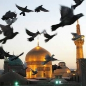میلاد امام رضا (ع) خورشید خراسان