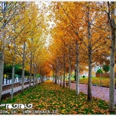 زیبایی های طبیعت سبزوار در پاییز